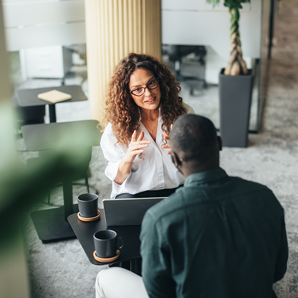 Professional woman discussing with client about the advantages of BHS